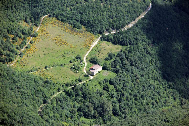 ΔΑΣΙΚΕΣ ΑΝΤΙΡΡΗΣΕΙΣ 